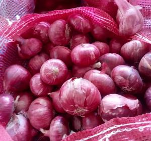 Red Onion Indian Origin